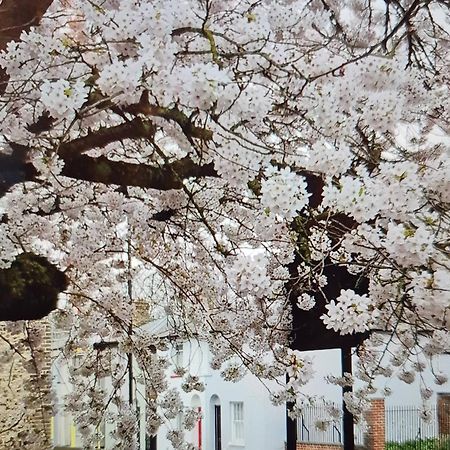 Charming Grade 2 Listed House Villa แคนเทอร์เบอรี ภายนอก รูปภาพ